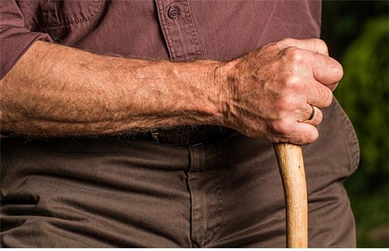 노인 독감 환자의 사망 주 원인은 면역반응 손상이라는 연구결과가 나왔다. (출처=픽사베이)