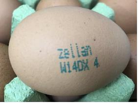 회수 조치된 경남 양산시 수원농장이 생산한 계란.(사진=식약처 제공=연합뉴스)