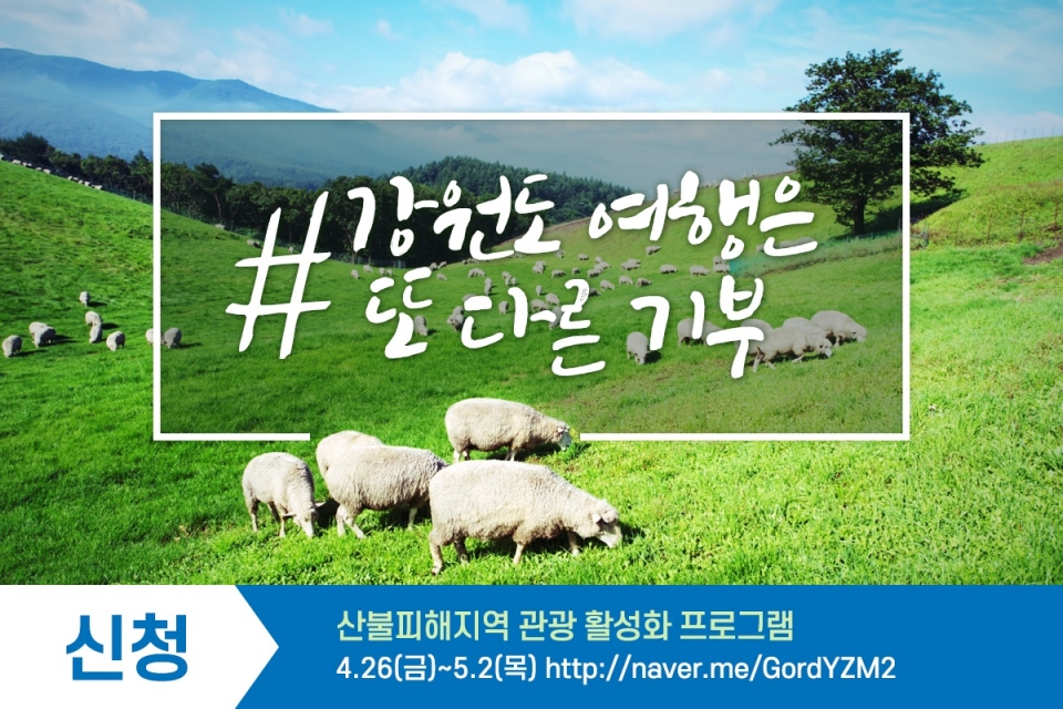 산불피해지역에 대한 봄 여행주간 추가 프로그램. 자료=한국관광공사 제공