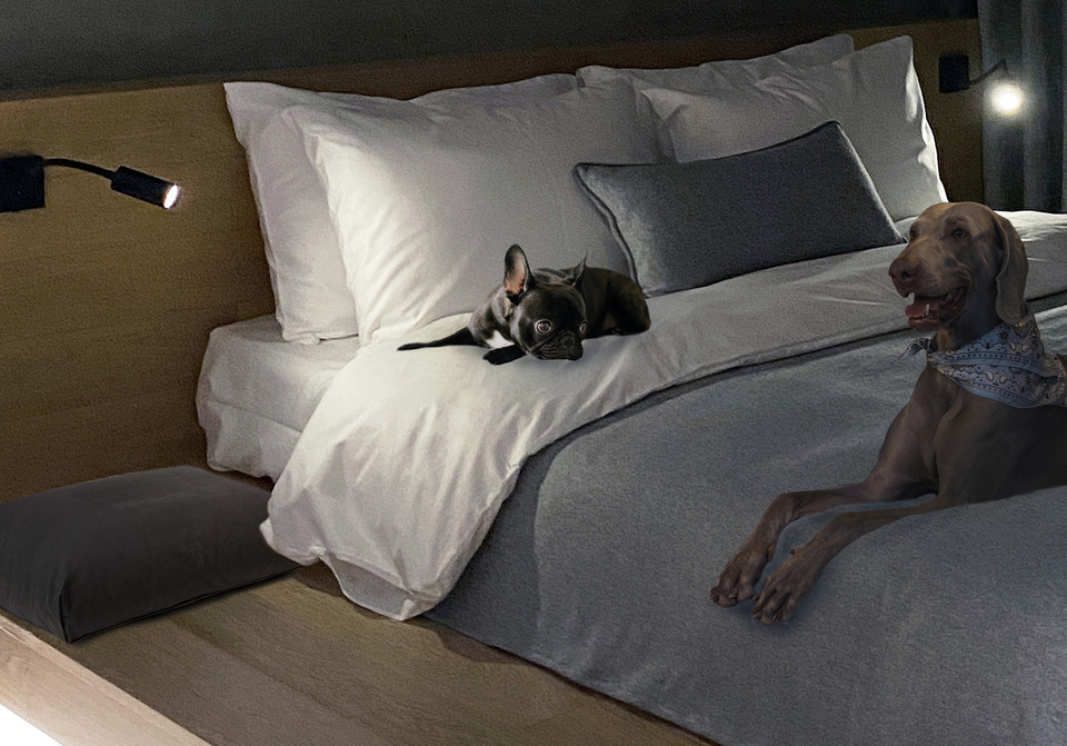 반려동물 동반 객실 투숙고객에게는에코 백과 수제 간식, 배변 봉투, 물티슈, 펫 비누 등으로 구성된 친환경 ‘웰컴 펫 키트’가 제공된다. 사진=소노호텔&리조트 