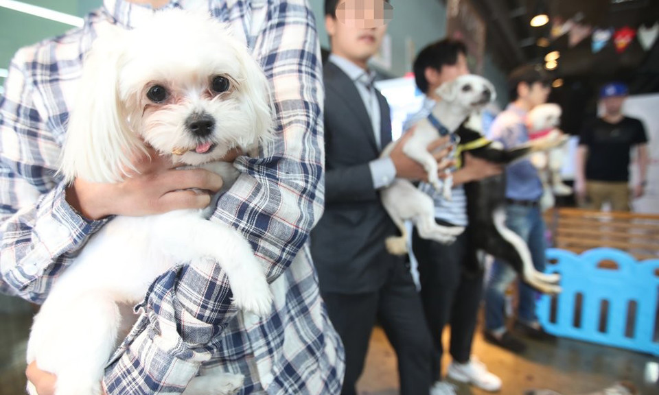 본 사진은 기사와 상관없음. 연합뉴스
