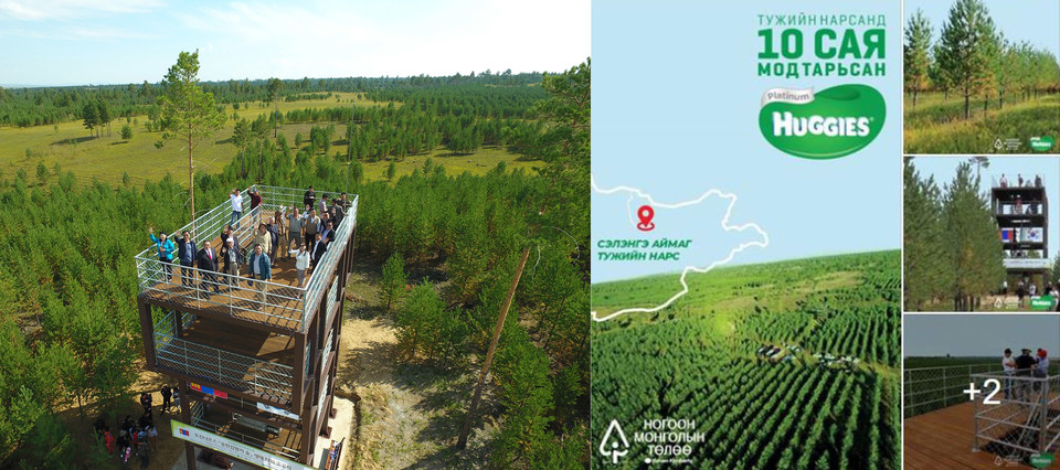 몽골 토진나르스 지역 유한킴벌리의 숲속에 둘러싸여 있는 전망대의 모습(왼쪽)과 몽골 유한킴벌리 숲을 활용한 광고(오른쪽). 사진=유한킴벌리