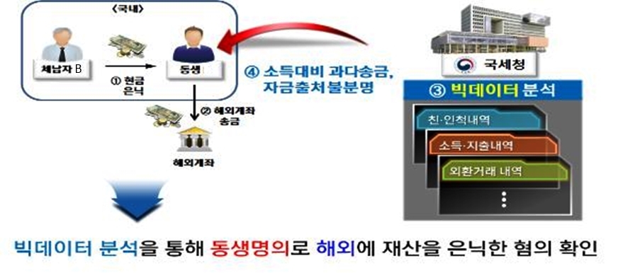 추적조사 대상으로 선정된 '악의적 고액체납자' 사례. 자료=국세청