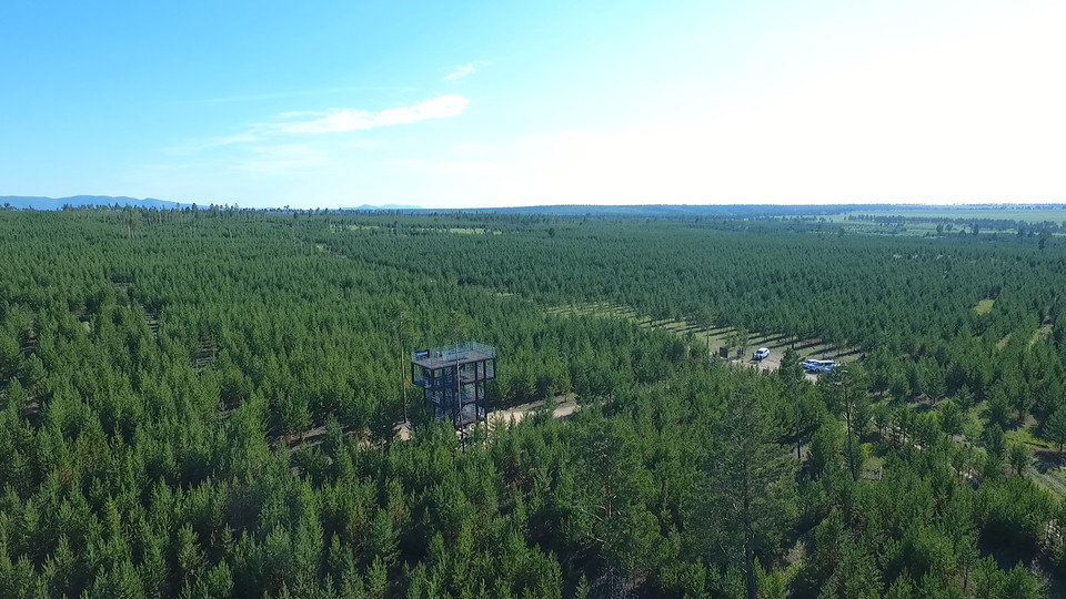 몽골 유한킴벌리 숲 전경. 유한킴벌리는  ‘우리강산 푸르게 푸르게’ 갬페인을 통해 황사와 미세먼지의 발원지인 몽골에 여의도의 11배에 이르는 ‘유한킴벌리 숲’을 조성했다. 사진=유한킴벌리