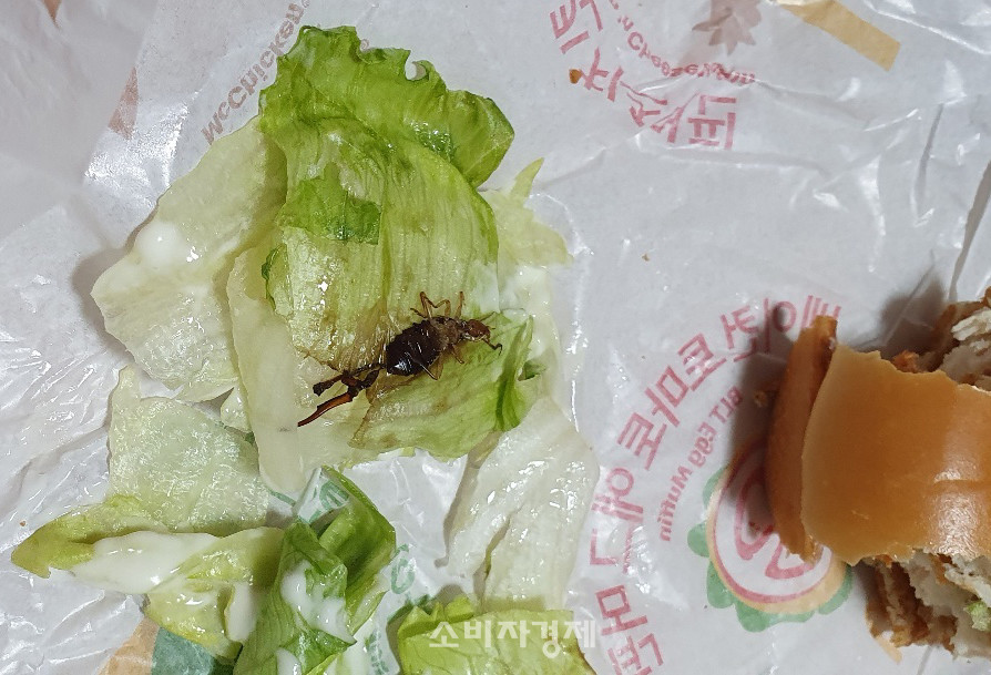소비자경제신문에 제보된 벌레버거 사진