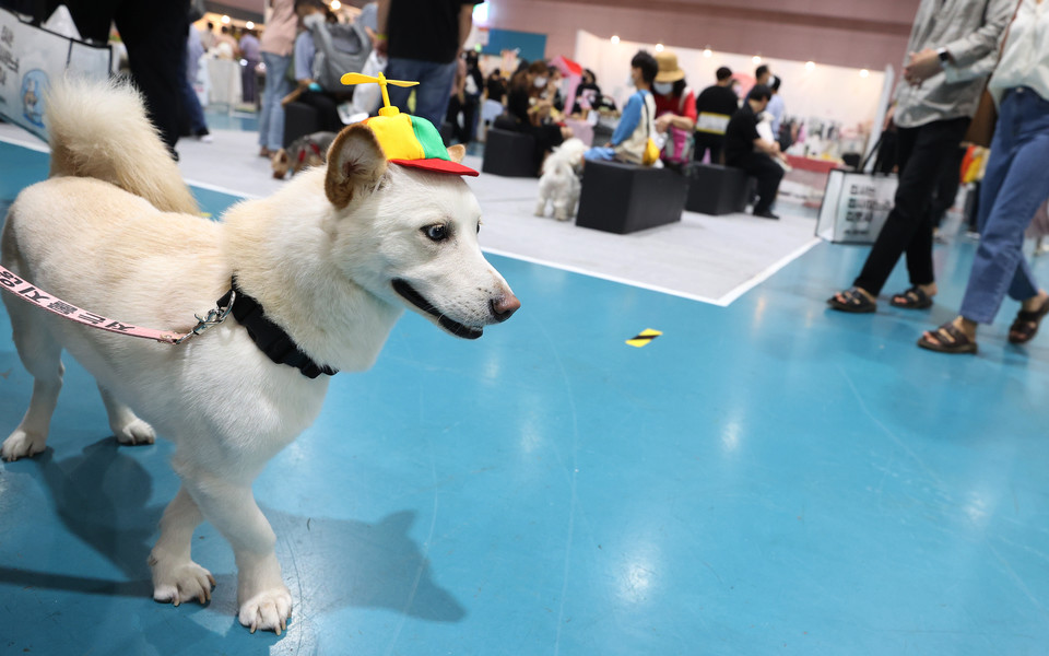 [사진=연합뉴스]