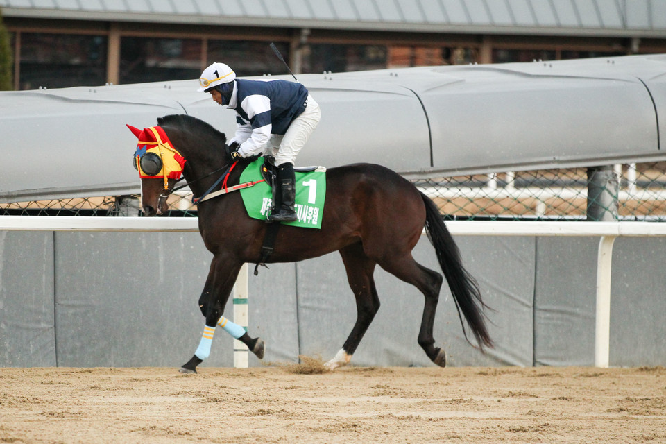 치프인디 [사진=한국마사회]