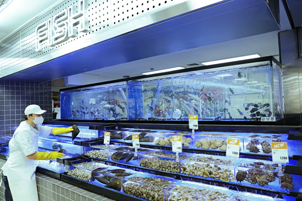 제타플렉스 수산매장은 계단형 수족관을 설치했다. [사진=롯데마트]