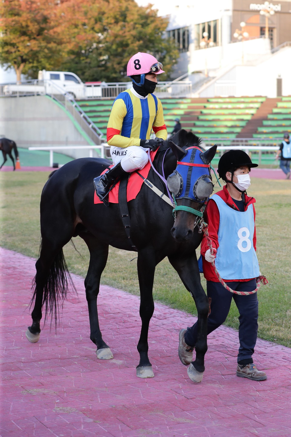 흑전사[사진=한국마사회]