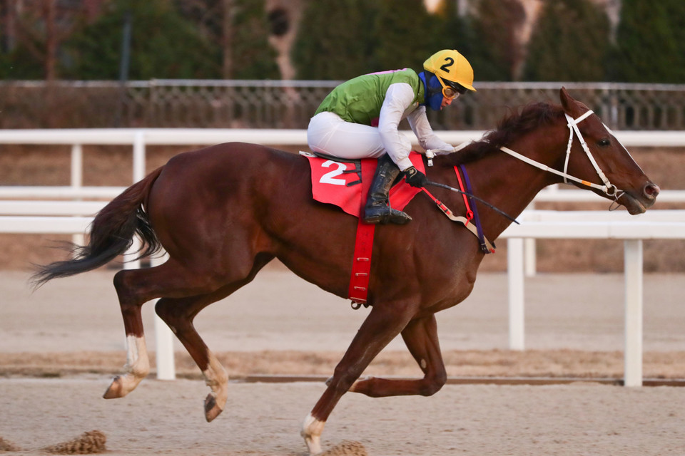 서울 ‘심장의고동’ [사진=한국마사회]