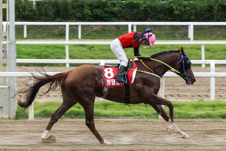 서울 ‘청담도끼’ [사진=한국마사회]