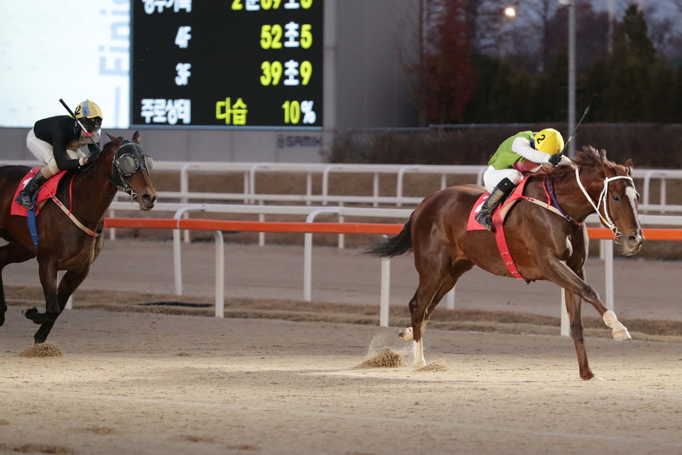 심장의고동 [사진=한국마사회]