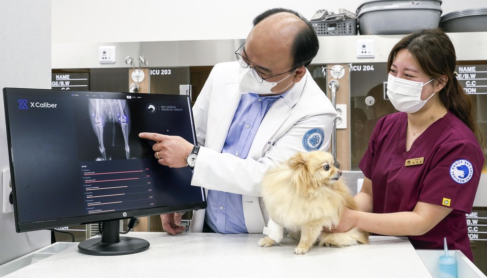 SK텔레콤이 내년 1월 미국 라스베이거스에서 개최되는 세계 최대 전자제품 전시회 ‘2023 CES(Consumer Electronics Show)’를 앞두고 ‘CES 혁신상(CES Innovation Awards)’을 수상했다고 17일 밝혔다.[사진=SK텔레콤]