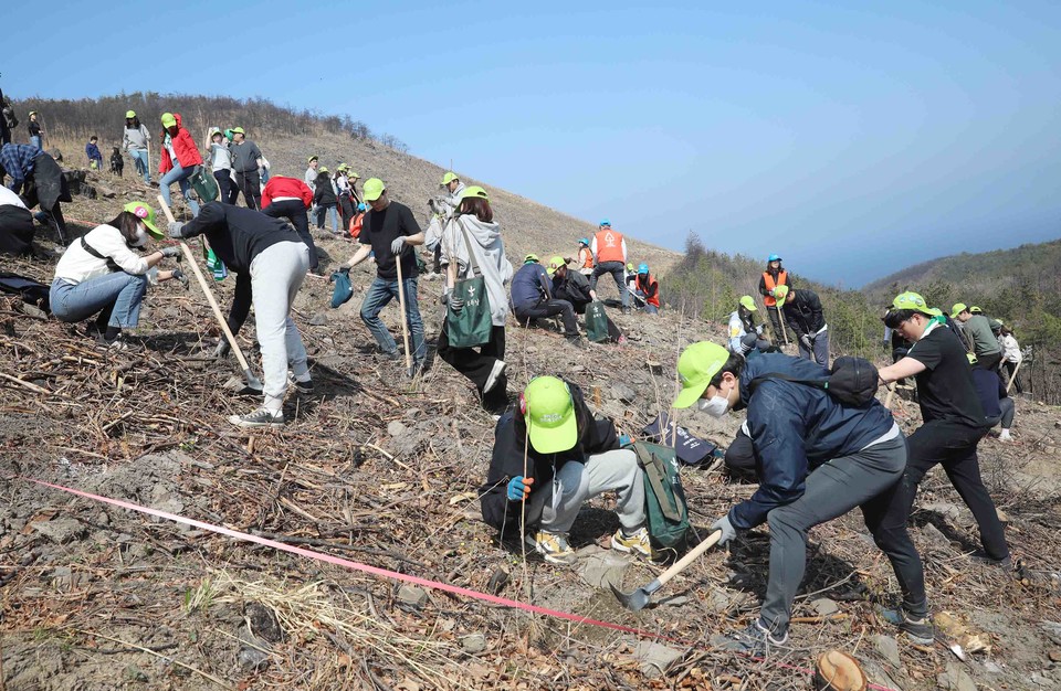 우리강산 푸르게 푸르게 2023 신혼부부 나무심기 [사진=유한킴벌리]