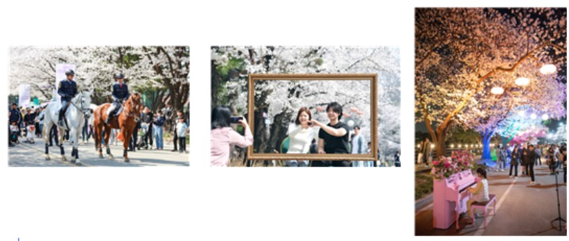 주말 양일간 10만여명이 찾은 한국마사회 벚꽃축제 [사진=한국마사회]