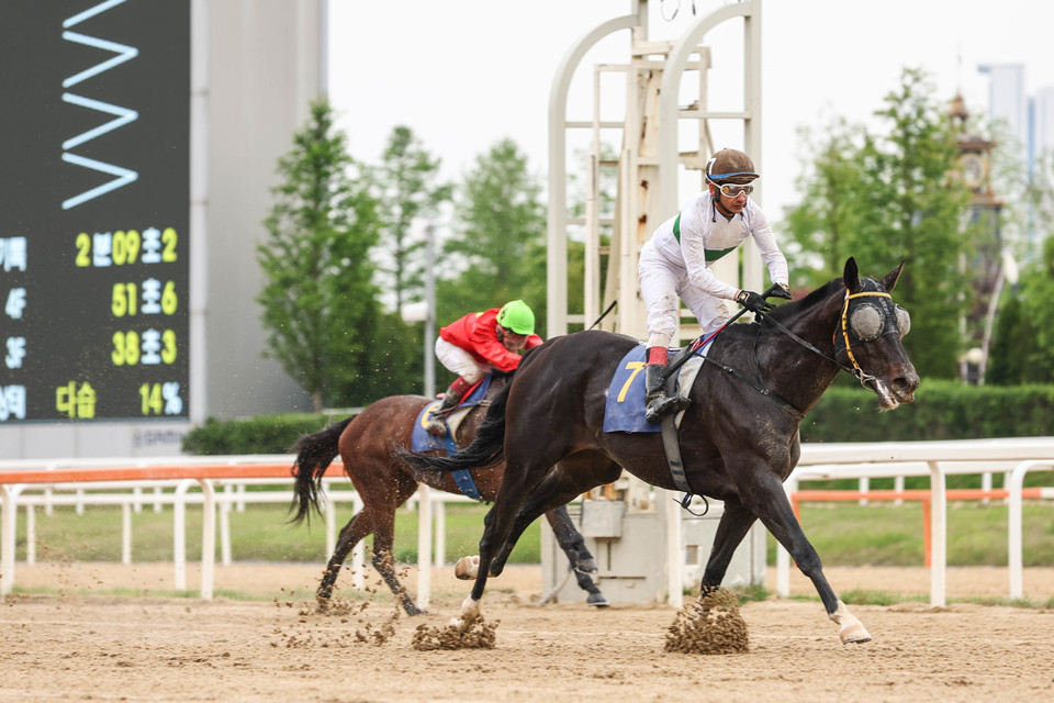 '제 33회 스포츠조선배 대상경마’가 7일 오후 한국마사회 렛츠런파크 서울에서 열렸다. [사진=한국마사회]