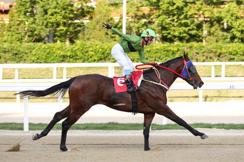 지난 14일 열린 SBS스포츠 스프린트에서 질주하는 라온더스퍼트와 임기원 기수 [사진=한국마사회]