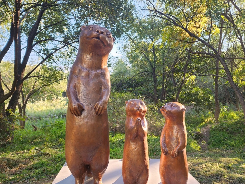 LG생활공강이 수달 서식지 보호활동을 이어간다. [사진=사회적협동조합 한강]