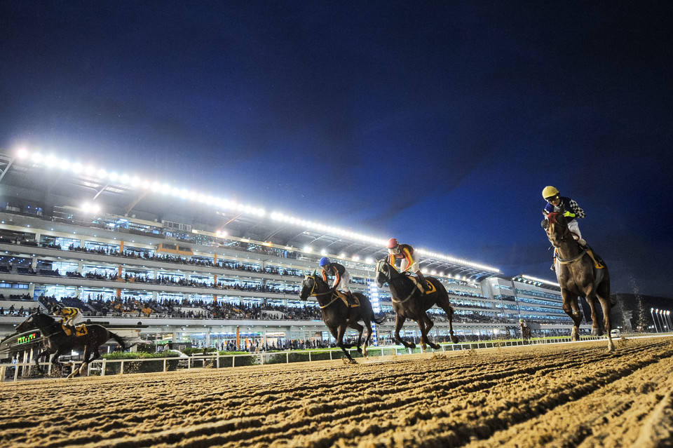 한국마사회가 11일 야간경마와 각종 이벤트들에 대해 설명했다. [사진=한국마사회]