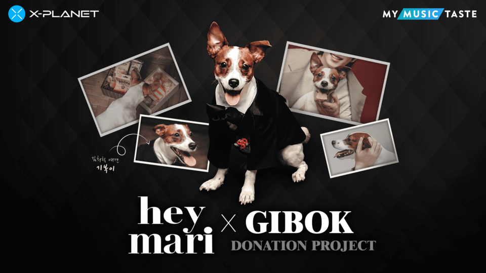 컴투스플랫폼은 지난 11일 NFT 마켓플레이스 ‘X-PLANET(엑스플래닛)’을 통해 방송인 김희철의 반려견 ‘기복이’의 NFT 기부 프로젝트를 진행한다고 밝혔다. [사잔=컴투스]