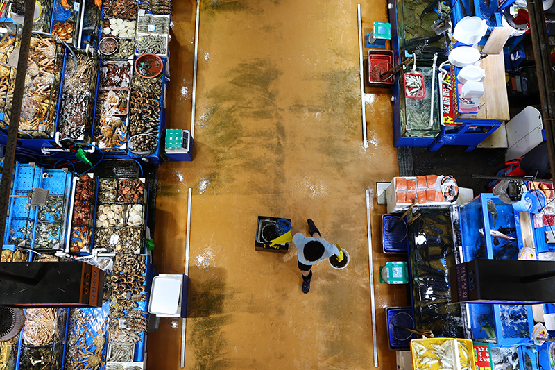 이날 정부서울청사에서 열린 일본 후쿠시마 원전 오염수 방류 관련 일일 브리핑에서 박 차관은 수산물 소비 활성화와 관련해 오는 11일부터 해당 정책을 시행한다. [사진=연합뉴스]