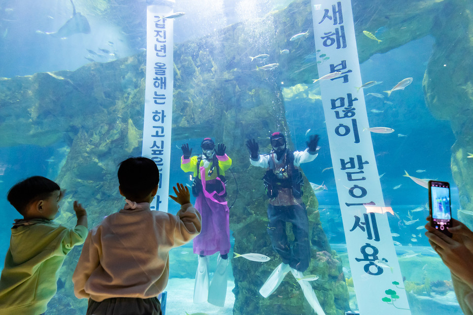 롯데월드 아쿠아리움은 오는 12일까지 매주 주말과 공휴일(오후 12시·2시)에 한복을 입은 아쿠아리스트들의 새해 인사 수중 퍼포먼스를 진행한다. [사진=롯데물산] 