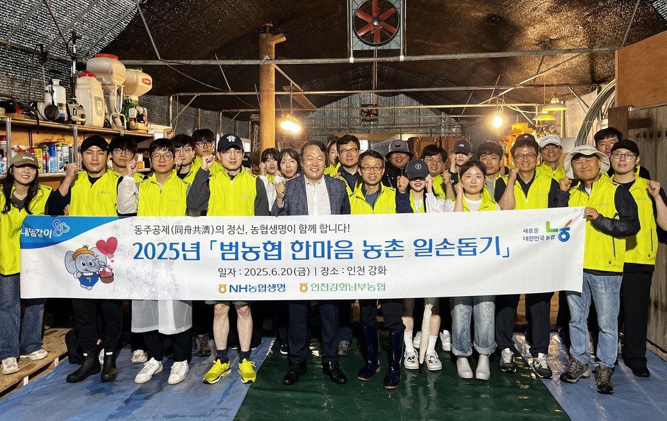 NH농협생명이 인천 강화군에서  농촌일손돕기를 실시했다.(사진= NH농협생명 제공)