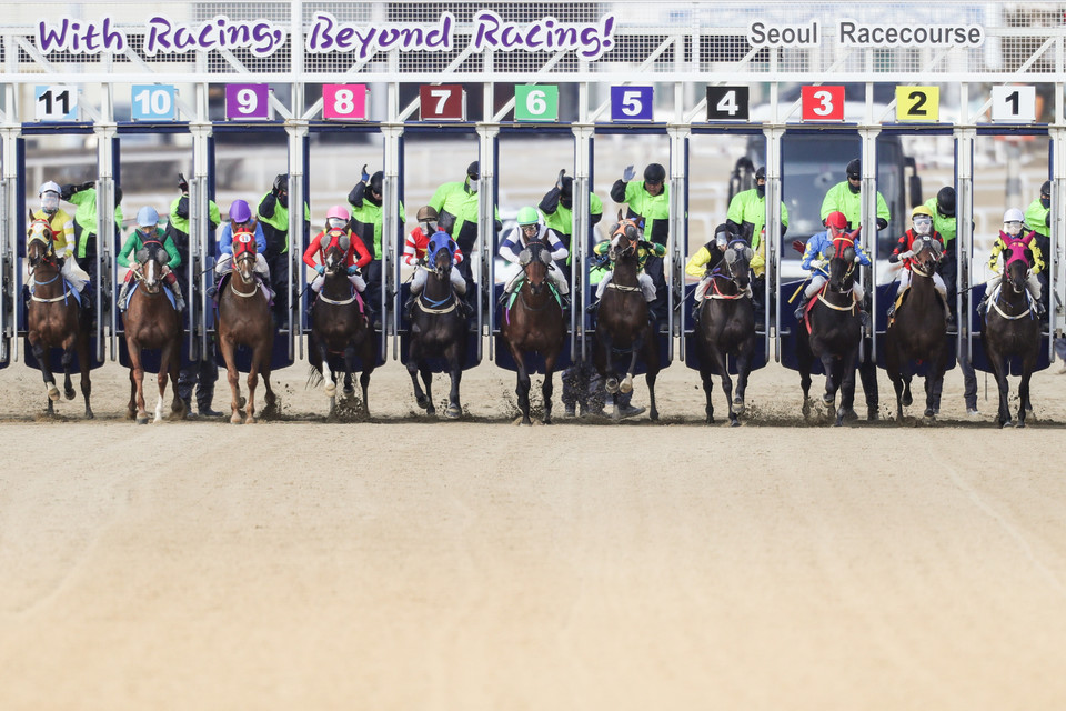 “당신도 마주馬主가 될 수 있다”...한국마사회, 서러브레드 마주 모집. (자료=한국마사회)