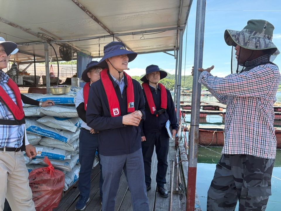 이옥진 수협중앙회 금융지원부대표(사진 가운데)가 지난 30일 경남 통영시에 위치한 양식보험 집중점검 대상 양식장을 찾아 고수온 대비 양식장 관리를 안내하고 있다. (수협중앙회 제공)