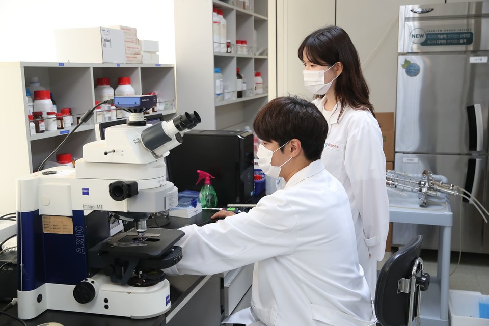 hy, 특허 유산균 HP7 ‘소화기능 개선’ 논문 국제학술지 게재. (hy 제공)